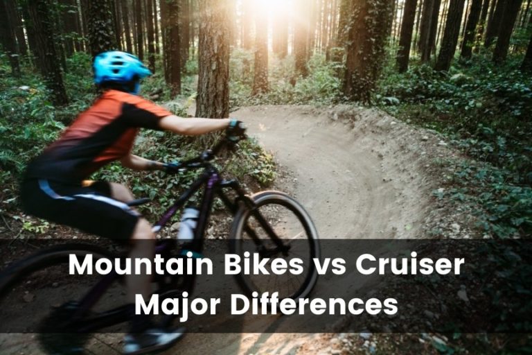 Mountain Bike vs Cruiser Bike: What’s the Difference?
