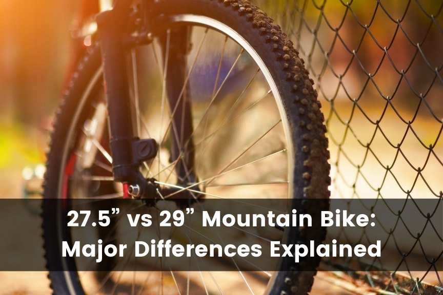 27.5 vs 29 mountain bike